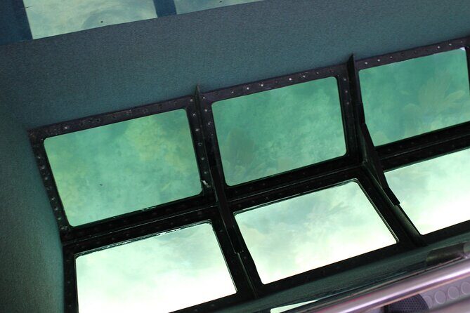 Key West Tours from Miami: Dolphin Discovery, Snorkeling & More ! - FAQs