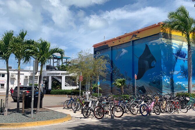 Key West Waterfront Cocktail Walk to Mallory Squares Sunset Celebration! - Key Points