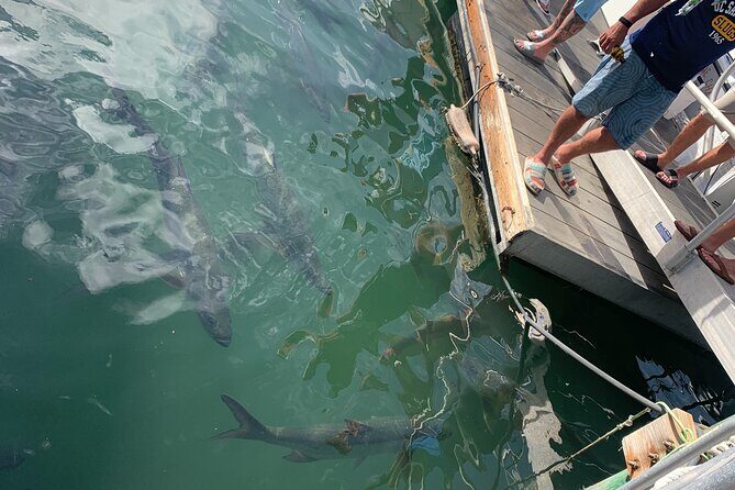 Key West Waterfront Cocktail Walk to Mallory Squares Sunset Celebration! - A Deep Dive into the Key West Waterfront Cocktail Walk