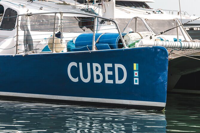 Key West's Favorite Afternoon Dolphin Sail - A Relaxed and Authentic Dolphin Experience in Key West