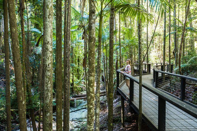 K'gari (Fraser Island) All Inclusive Day Tour - A Deep Dive Into the Fraser Island Experience