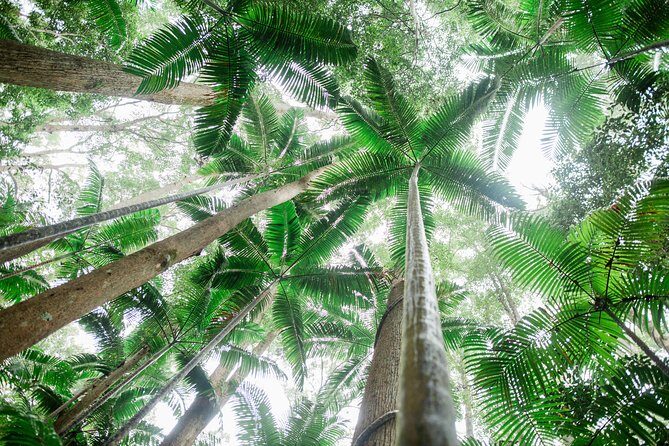 K'gari (Fraser Island) Explorer 2-Day Tour - Key Points
