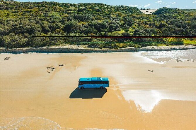 K'gari (Fraser Island)4-Day Experience from Hervey Bay +Illumina - Final Thoughts