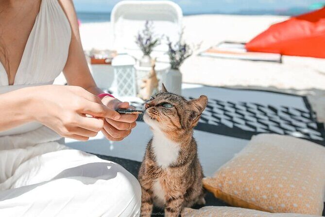 Khai Island Speedboat: Island Hopper Trip - FAQ