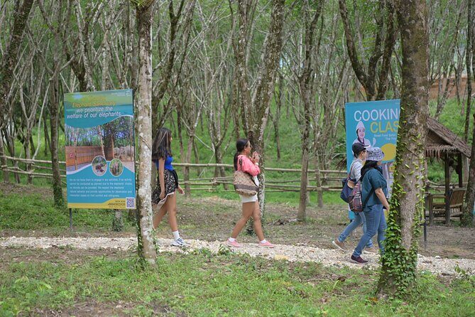 Khao Lak Eco-Safari: Elephants, Tsunami Museum, and Turtles - Deep Dive: Why This Tour Stands Out