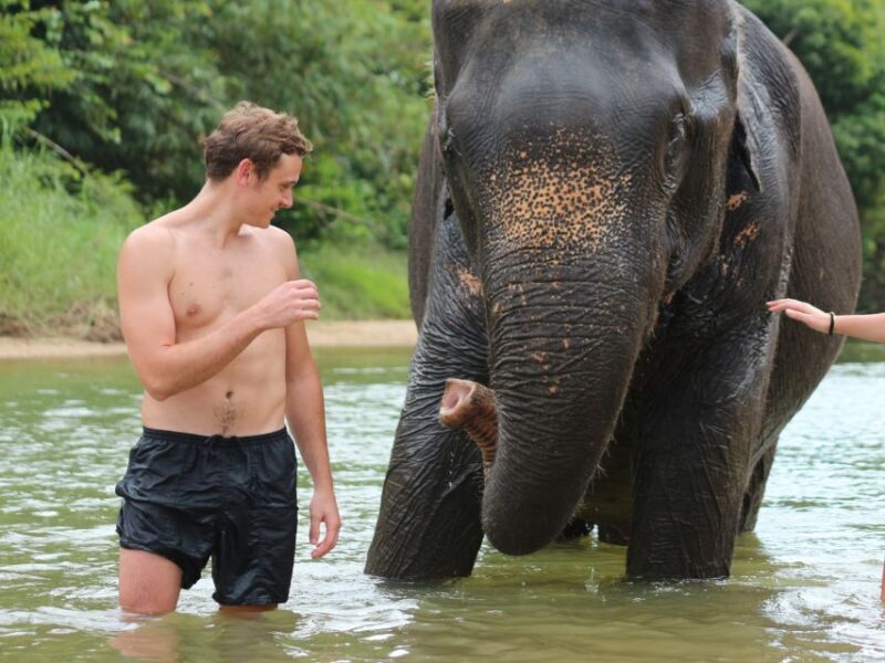 Khao Lak: Elephant Bathing and Turtle Center Visit - Key Points