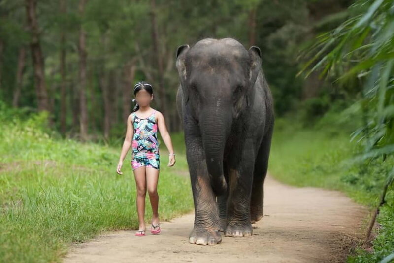 Khao Lak: Elephant Bathing and Turtle Center Visit - Frequently Asked Questions