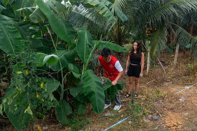 Khao Lak Elephant Sanctuary Full Day Small Group Tour - Final Thoughts