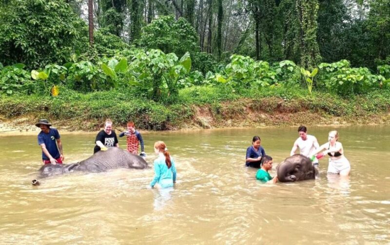 Khao Lak: Elephant Sanctuary Guided Tour - Khao Lak: Elephant Sanctuary Guided Tour — A Close and Compassionate Encounter with Elephants