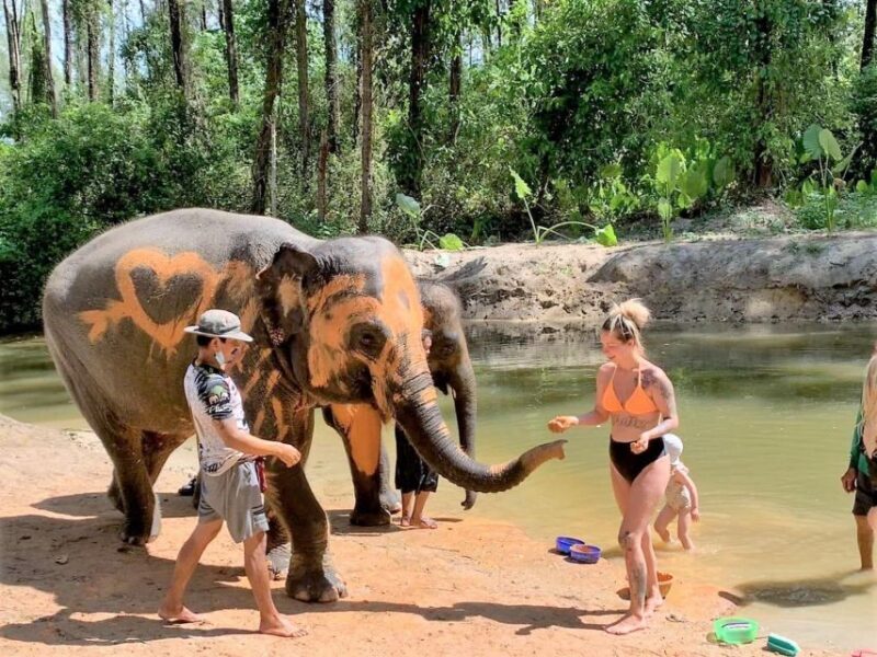 Khao Lak: Elephant Sanctuary Guided Tour - What to Expect During Your Elephant Encounter