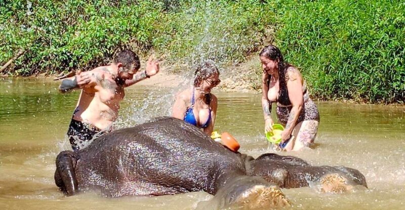 Khao Lak: Elephant Sanctuary Guided Tour - Pricing and Value