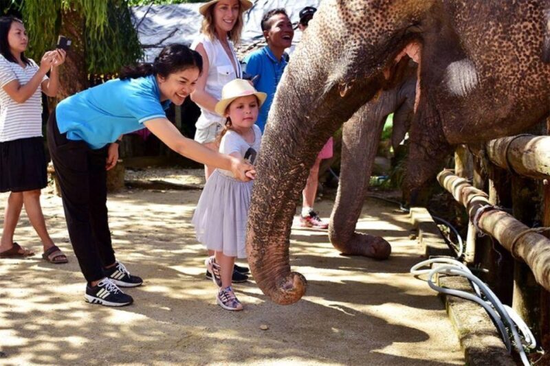 Khao Lak: Elephant Sanctuary Guided Tour - Who Should Consider This Tour?