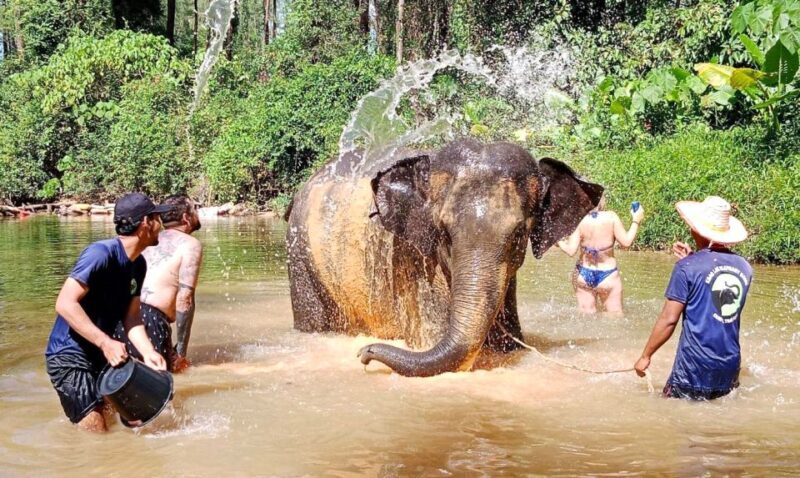 Khao Lak: Elephant Sanctuary Guided Tour - FAQ