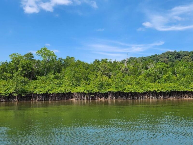 Khao Lak: Khao Na Yak Sightseeing & Snorkeling Small Group - Discovering Khao Lak’s Underwater Beauty