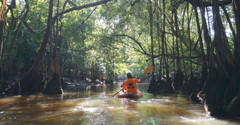 Khao Lak: Little Amazon Canoe Ride & Tam Nang Waterfall Tour - A Practical, Authentic Jungle Escape from Khao Lak