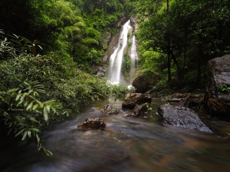 Khao Lak: Little Amazon Canoe Ride & Tam Nang Waterfall Tour - Why the Tour Is Worth Considering