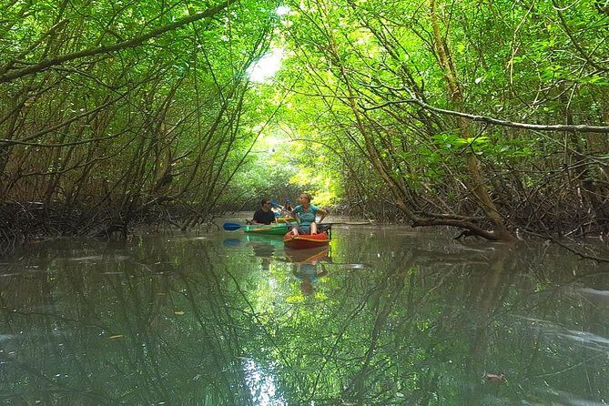 Khao Lak Mangrove Explorers - Exploring Khao Lak’s Mangroves: What to Expect