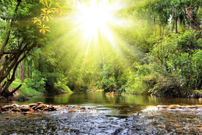 Khao Lak: Raft Expedition & Sea Turtle Conservation Center - Itinerary Breakdown