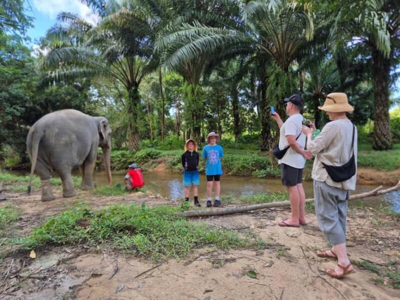 Khao Lak: Waterfall,Sea Turtle,Elephant Care,Meal & Transfer - Exploring Khao Lak: Waterfalls, Sea Turtles, and Caring for Elephants