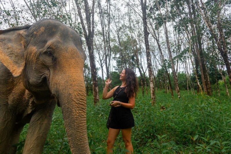 Khao Lak: Waterfall,Sea Turtle,Elephant Care,Meal & Transfer - Key Points