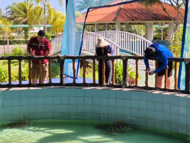 Khao Lak: Waterfall,Sea Turtle,Elephant Care,Meal & Transfer - The Practicalities: How the Tour Works