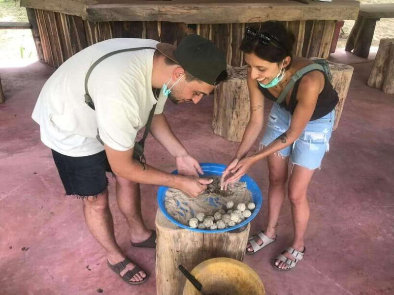 Khao Sok: Ethical Elephant Experience & Nature Walk - The Experience in Detail: Why It Matters