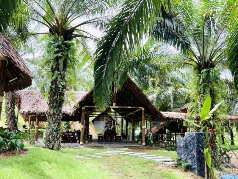 Khao Sok: Ethical Elephant Sanctuary Visit - Final Thoughts