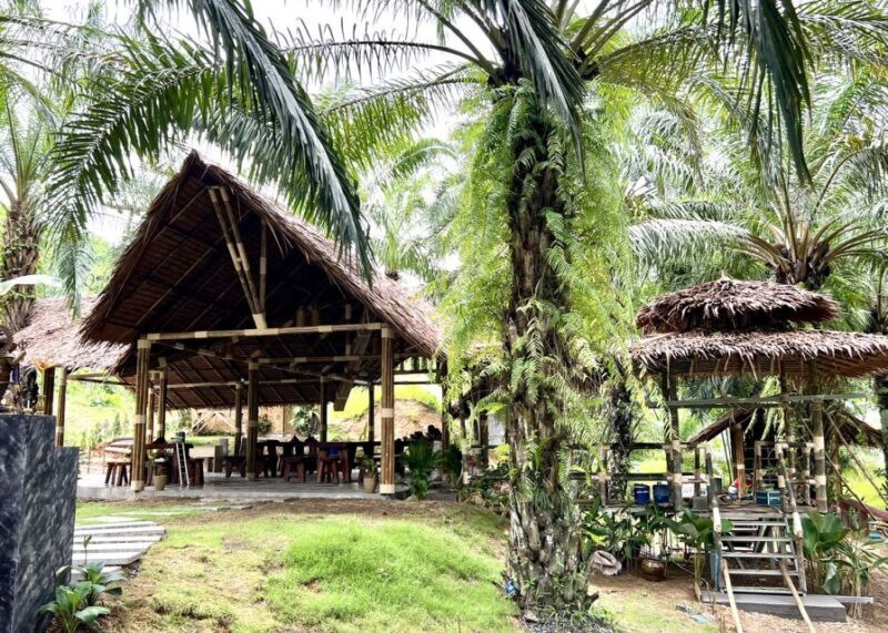 Khao Sok: Ethical Elephant Sanctuary Visit - FAQ