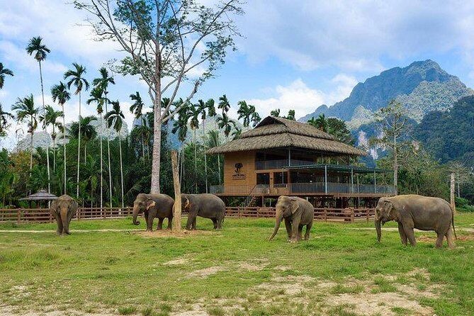 Khao Sok National Park Jungle Safari Full Day Tour from Phuket - The Sum Up