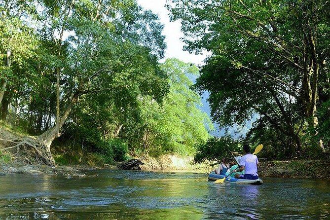 Khao Sok National Park Safari Full Day Tour from Phuket - What Travelers Say: Authentic Experiences and Practical Tips