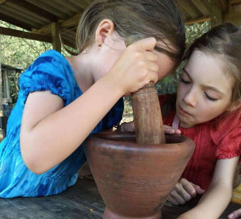 Khao Sok: Private Authentic Jungle Cooking Experience - Frequently Asked Questions