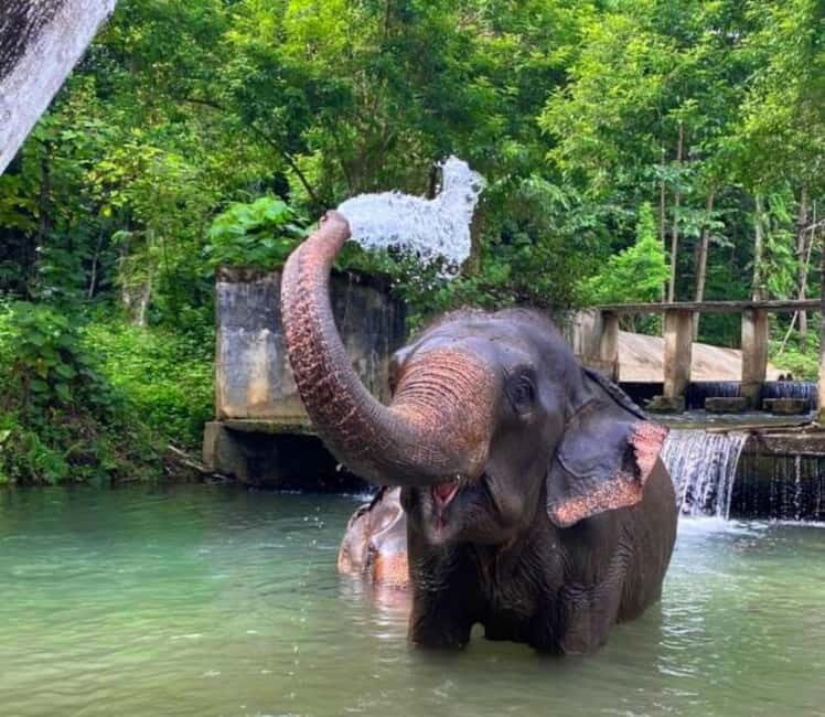Khao Sok: Private Ethical Elephant Sanctuary Adventure - What the Tour Includes and How It Feels