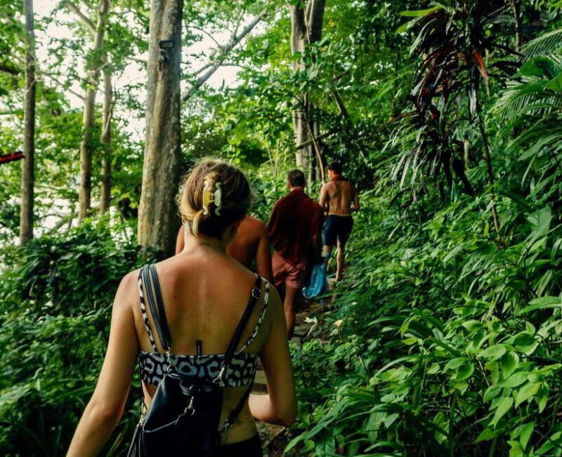Khao Sok: Private Waterfalls and Wildlife Half-Day Trek - Exploring Khao Sok: An In-Depth Review