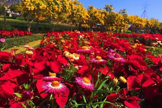 Khao Yai national Park day tour from Bangkok - Exploring Khao Yai: A Practical Look at the Day Tour