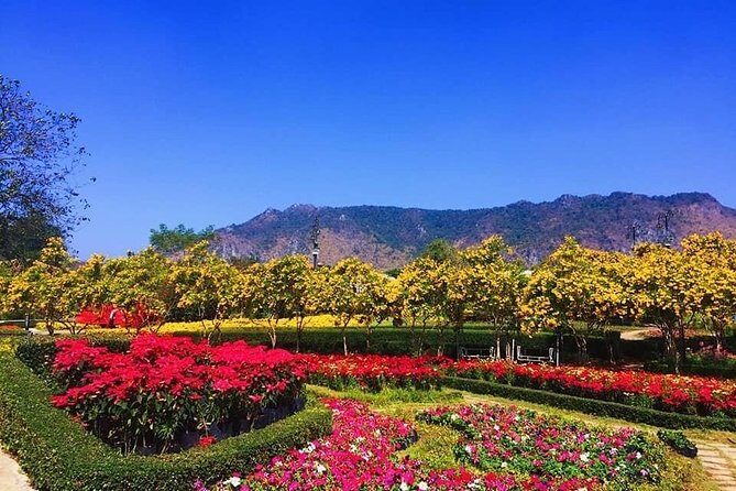 Khao Yai national Park day tour from Bangkok - FAQ