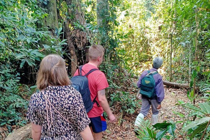 Khao Yai National Park Full Day - Who Should Consider This Tour?
