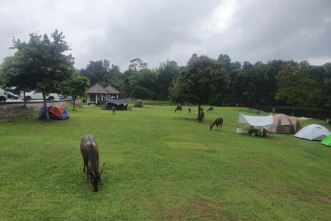 Khao Yai National Park Full Day - Wrapping It Up