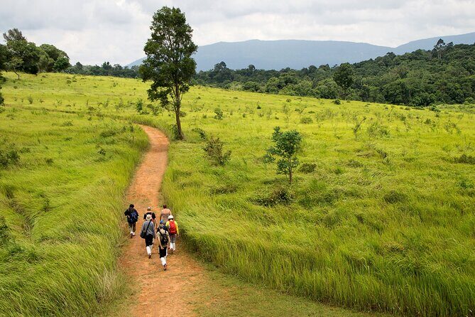 Khao Yai National Park Full Day Tour from Bangkok - Mostly Authentic Experiences, Well-Organized