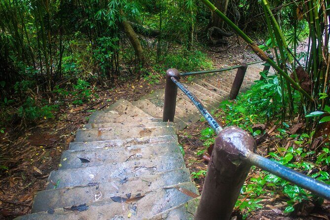 Khao Yai National Park Full-Day Tour From Bangkok - Frequently Asked Questions