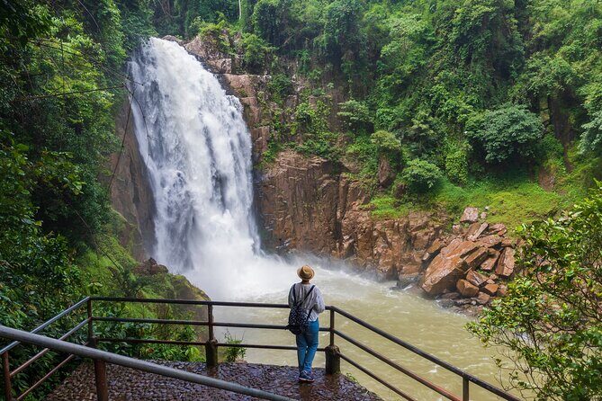 Khao Yai: Waterfalls, Deer Spotting & Jungle Walks Day Tour - Exploring Khao Yai: A Closer Look at the Waterfalls, Wildlife, and Trails