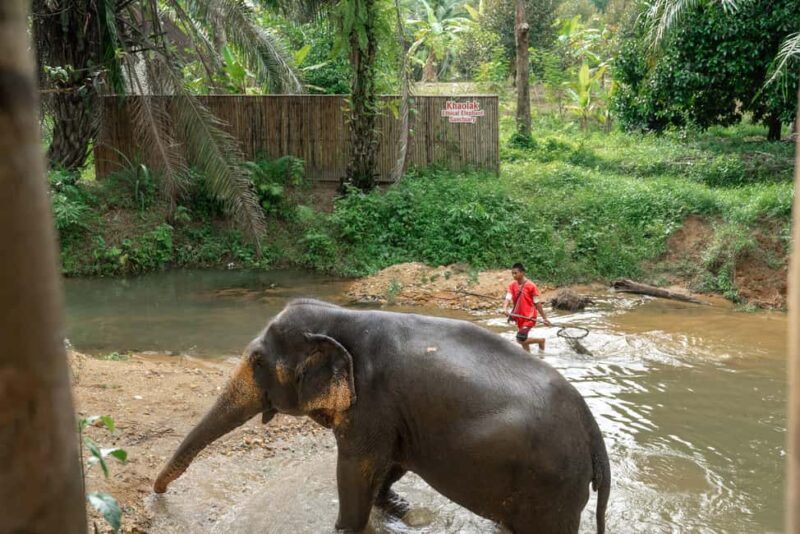 Khaolak: Elephant Sanctuary Guided Tour with Hotel Transfers - Practical Information and Tips