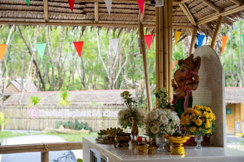 Khaolak: Elephant Sanctuary Guided Tour with Hotel Transfers - Who Should Consider This Tour?