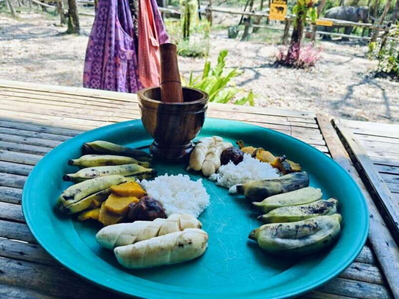 Khaolak Ethical Elephant Sanctuary Snack Making & Feeding - Who Will Love This Experience?