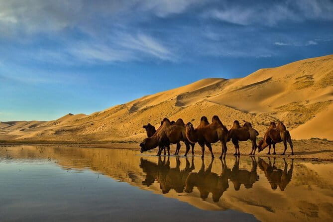 Kharkhorum, Semi-Gobi 2 days 1 night private trip - Who Will Love This Tour?