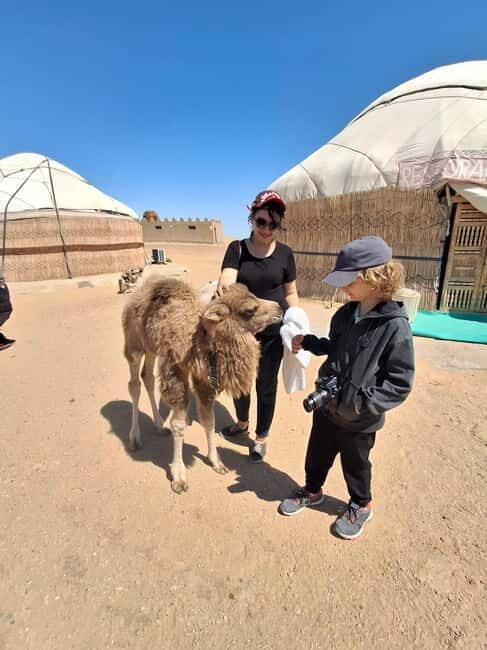 Khiva: Guided City Walking Tour with Local Guide - Key Points