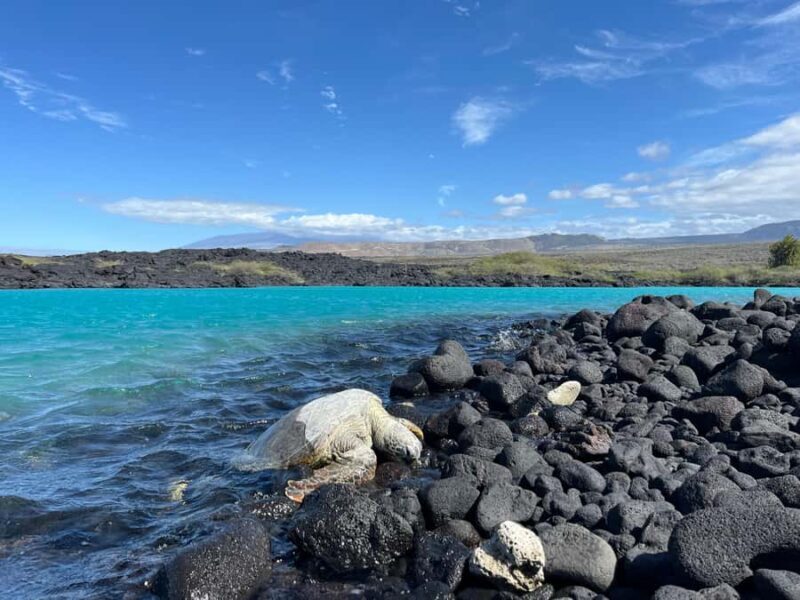 Kholo coast hike and aqua blue swim with Native Hawaiian - Who Will Love This Tour?
