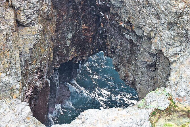 Kiama Blowholes, Sea Cliff Bridge and Royal National Park tour - Exploring Sydney’s Coastal Gems: Kiama Blowholes, Sea Cliff Bridge, and Royal National Park Tour