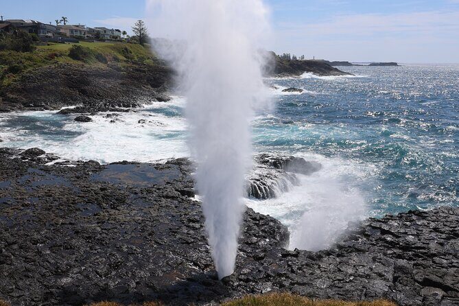 Kiama Blowholes, Sea Cliff Bridge and Royal National Park tour - Key Points