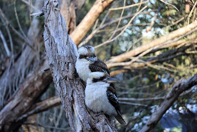 Kiama Blowholes, Sea Cliff Bridge and Royal National Park tour - Final Thoughts