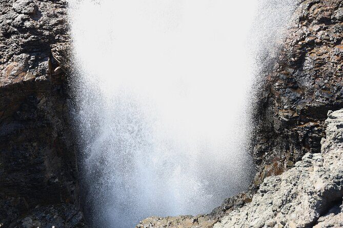 Kiama Blowholes, Sea Cliff Bridge and Royal National Park tour - Frequently Asked Questions